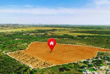 Plots For Sales In Shadnagar